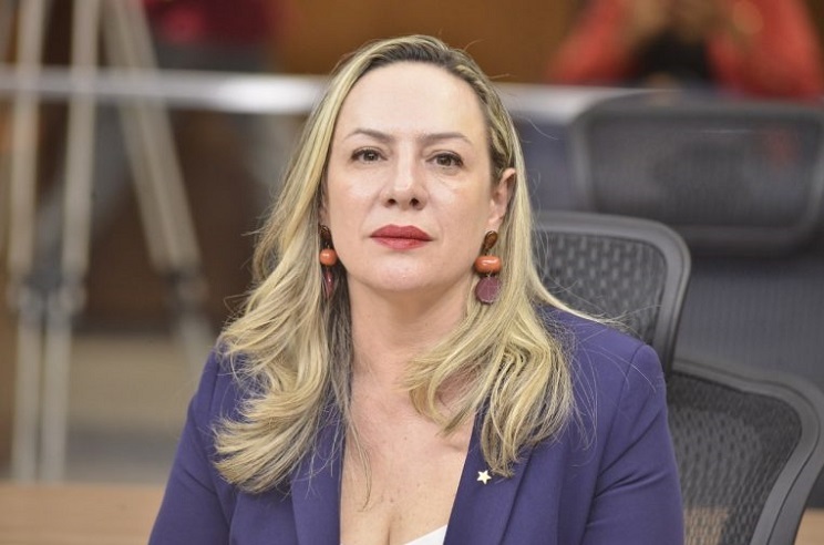 Imagem Ilustrando a Notícia: Petistas acreditam que chapa Accorsi e Ana Paula seria “imbatível”