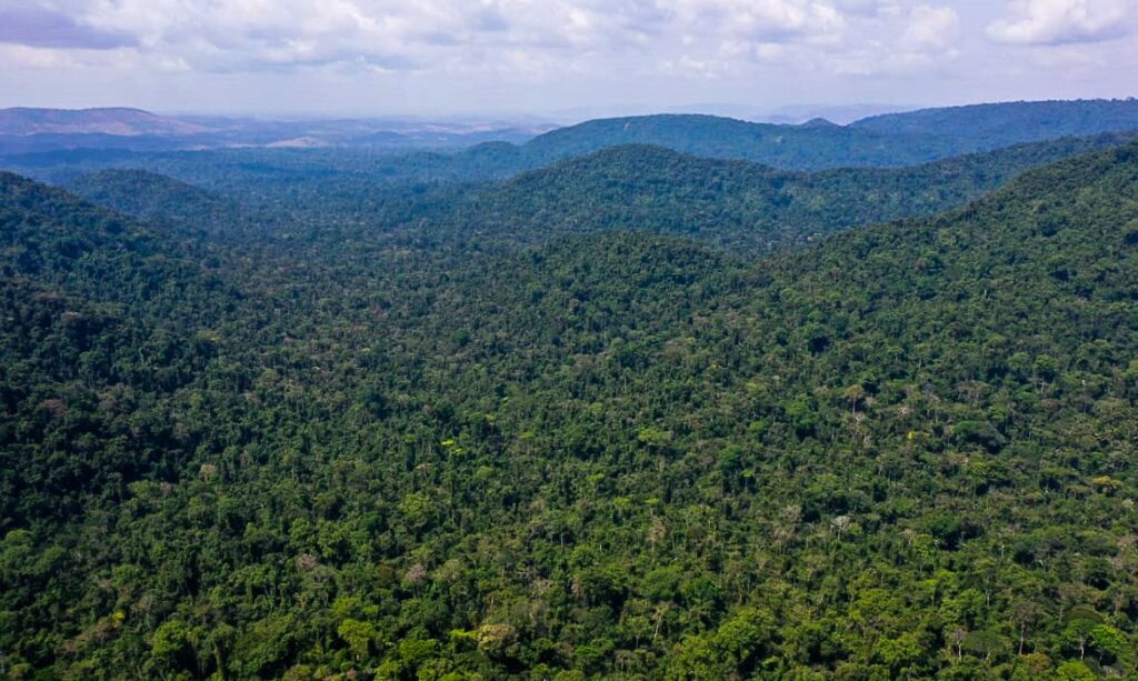 Imagem Ilustrando a Notícia: Desmatamento na Amazônia cai 31% de janeiro a maio