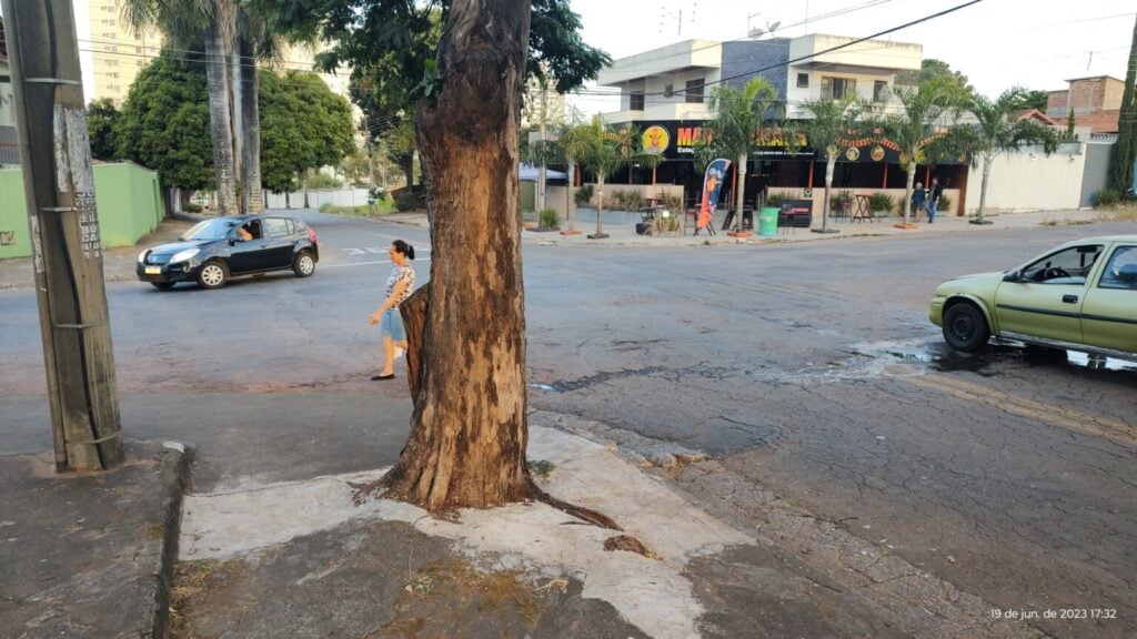 Imagem Ilustrando a Notícia: Goiânia realiza Programa ‘SOS Árvores’ para proteção da arborização sufocada por calçadas