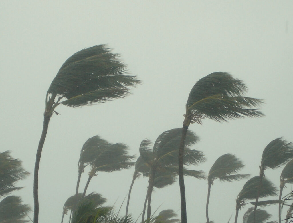 Imagem Ilustrando a Notícia: O que é um ciclone extratropical?