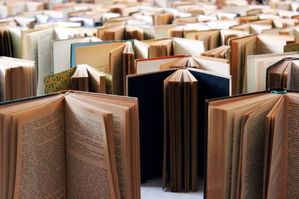 Imagem Ilustrando a Notícia: Literatura goiana: 6 obras que você não pode deixar de ler