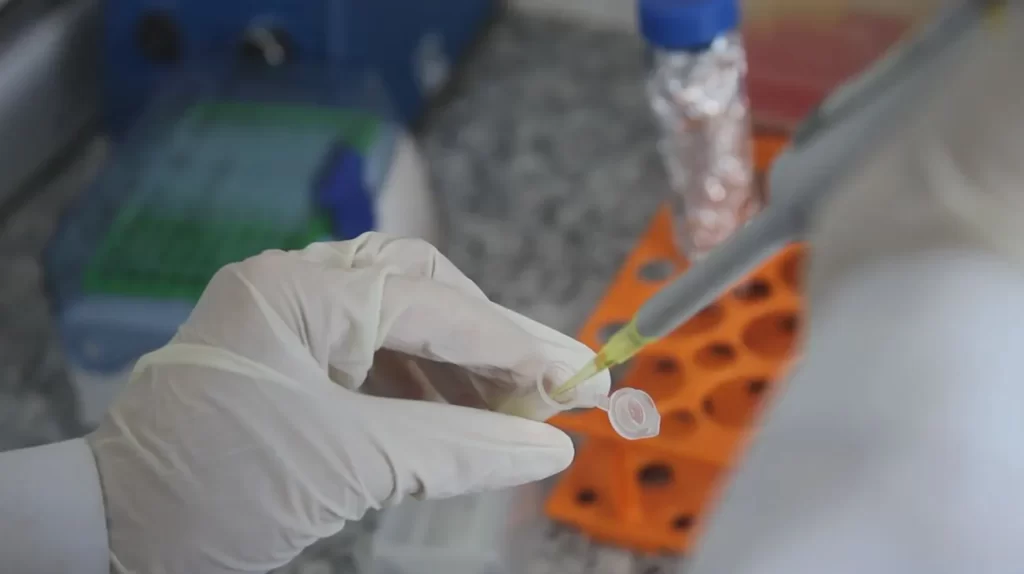 Imagem Ilustrando a Notícia: Laboratórios desenvolvem vacinas que ensinam sistema imunológico a neutralizar o crack