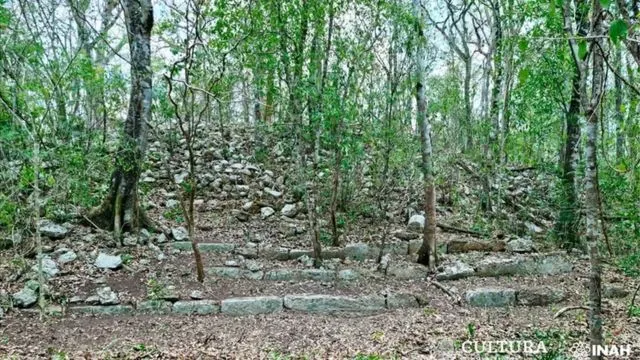 Imagem Ilustrando a Notícia: Antiga cidade maia é descoberta no meio da floresta no México