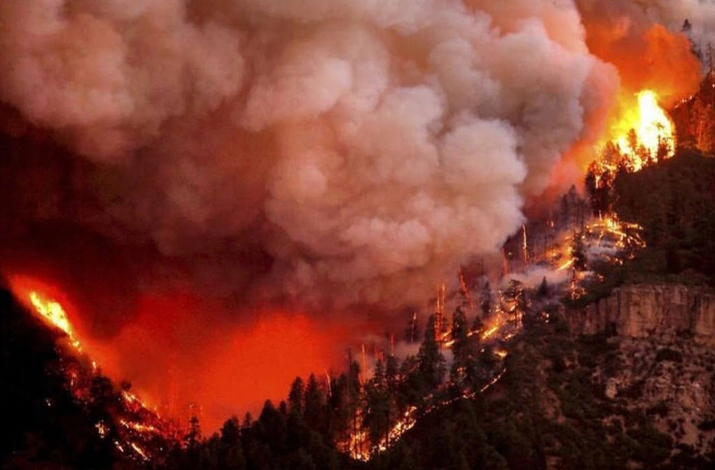 Imagem Ilustrando a Notícia: Governo brasileiro envia ajuda humanitária para o Canadá a fim de combater incêndios florestais no país