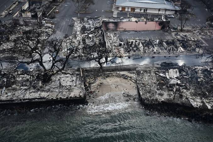 Imagem Ilustrando a Notícia: Incêndio Florestal atinge Havaí e número de mortos chega a 93
