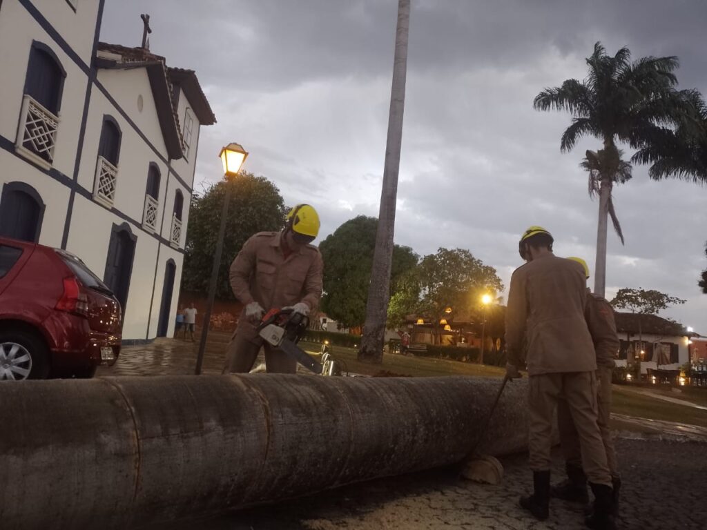 Imagem Ilustrando a Notícia: Ventania derruba palmeira, que quase atingiu igreja histórica de Pirenópolis