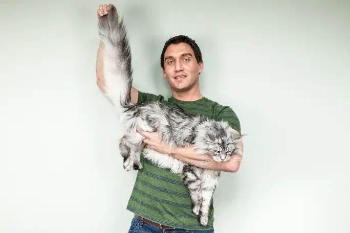 Imagem Ilustrando a Notícia: Conheça o gato com a calda mais longa do mundo