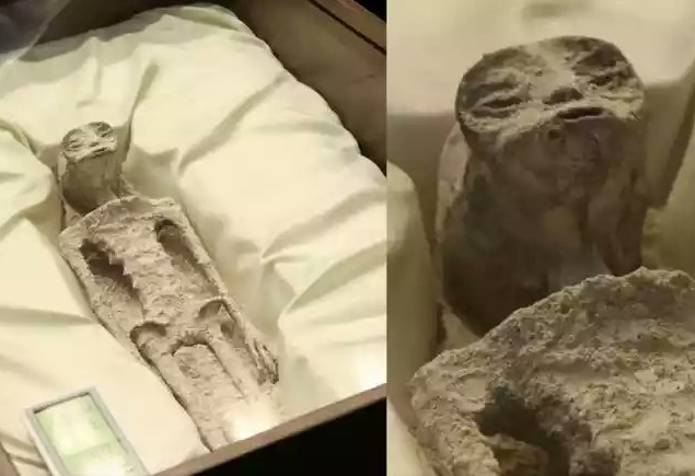 Imagem Ilustrando a Notícia: Prova inegável? Ufólogo revela corpos de ETs mumificados em congresso mexicano