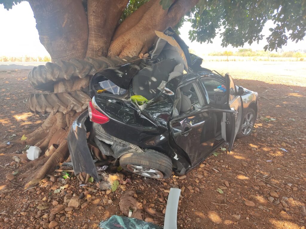 Imagem Ilustrando a Notícia: Carro bate em árvore em Bom Jesus, mata motorista e deixa passageiro ferido