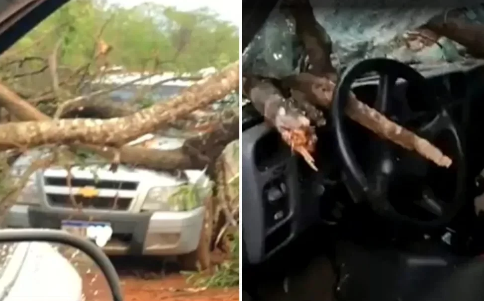 Imagem Ilustrando a Notícia: Motorista morre atravessado por galho de árvore na GO-427, em Jaraguá