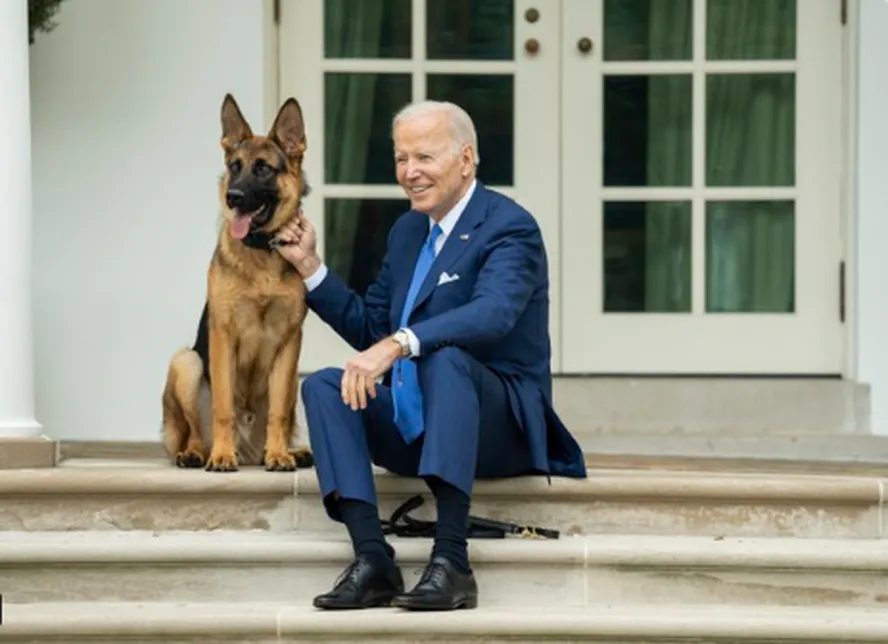 Imagem Ilustrando a Notícia: Outro agente do Serviço Secreto dos EUA é mordido por cachorro de Joe Biden