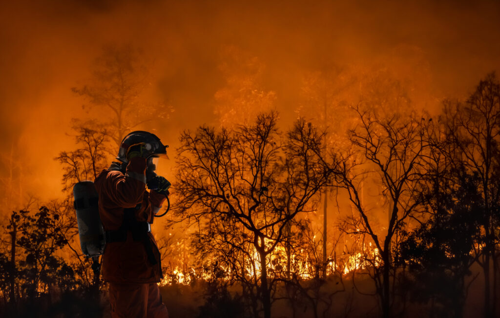 Imagem Ilustrando a Notícia: Metodologia com IA identifica focos de incêndio com antecedência