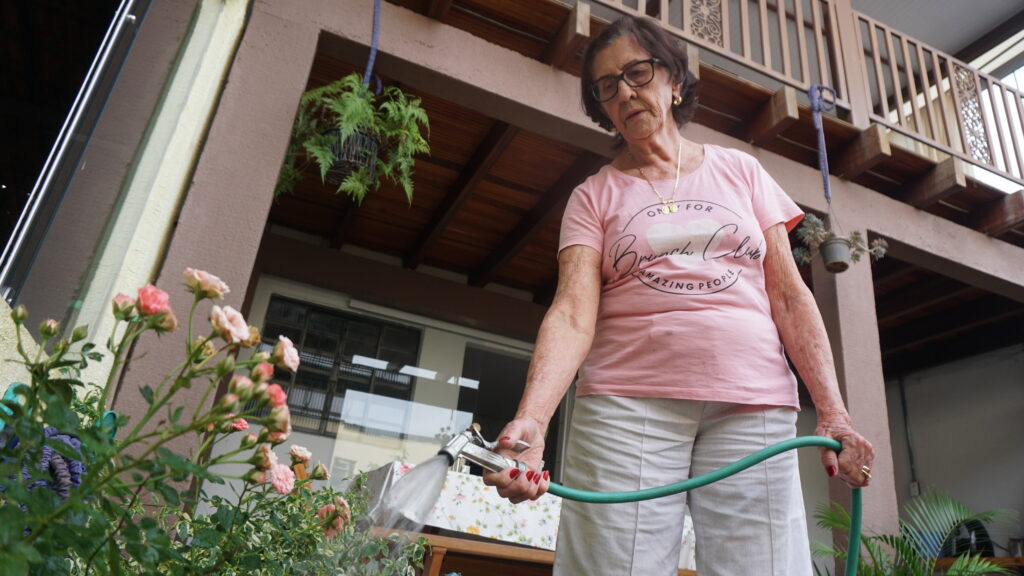 Imagem Ilustrando a Notícia: No quintal de Maria, orquídeas e rosas embelezam e aliviam calor