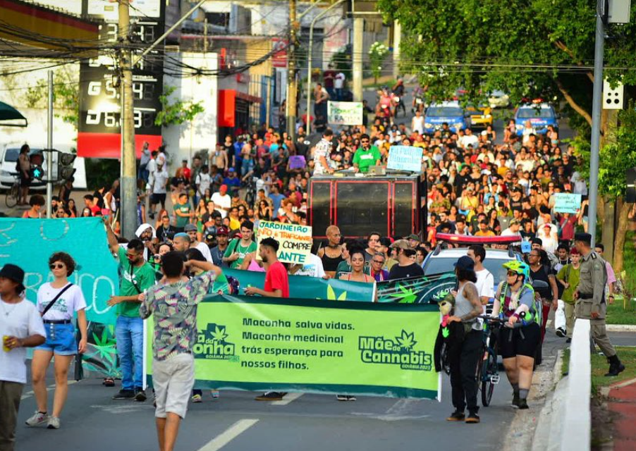 Imagem Ilustrando a Notícia: Marcha da Maconha 2023 em Goiânia elucida luta pela democratização do acesso à planta