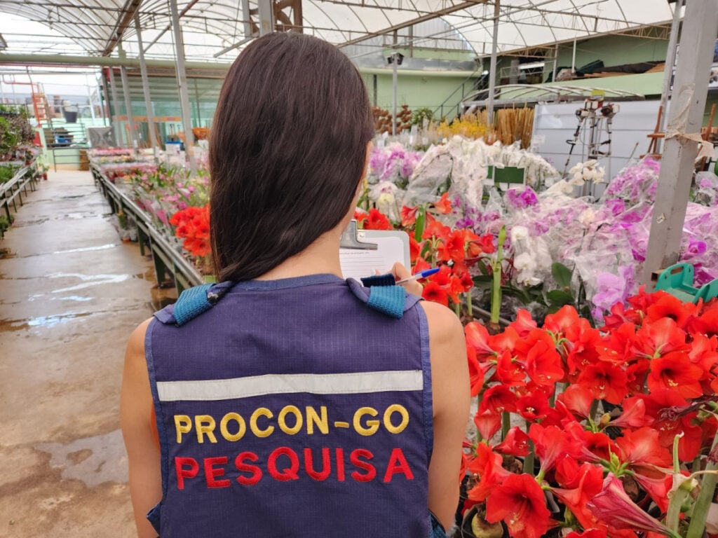 Imagem Ilustrando a Notícia: Procon aponta variação de até 585% em preço de flores
