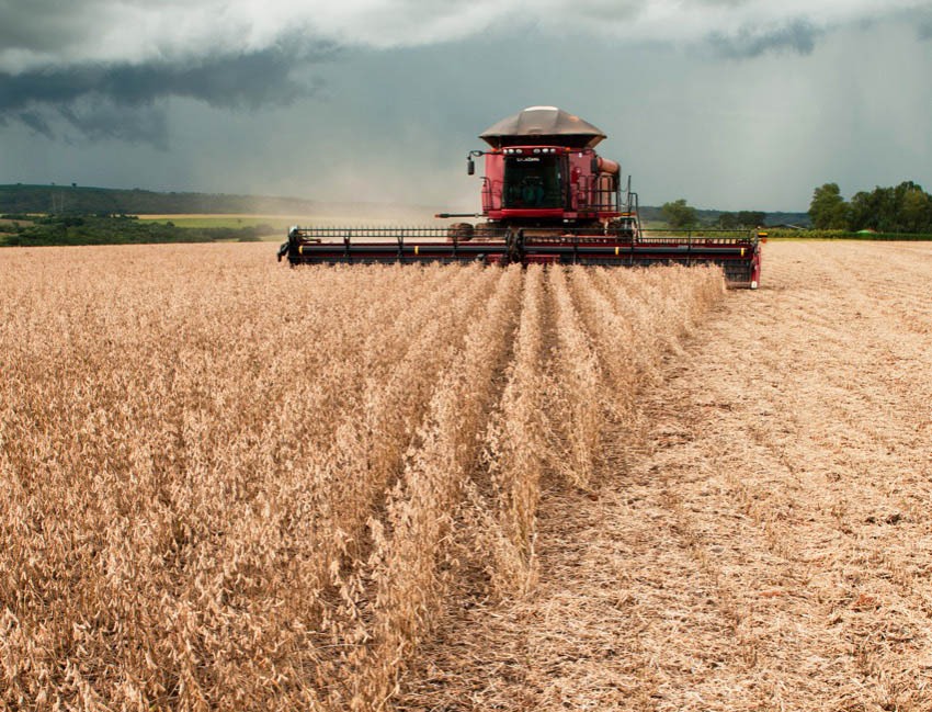 Imagem Ilustrando a Notícia: Produção agrícola em Goiás deve superar 114 milhões de toneladas em 2023