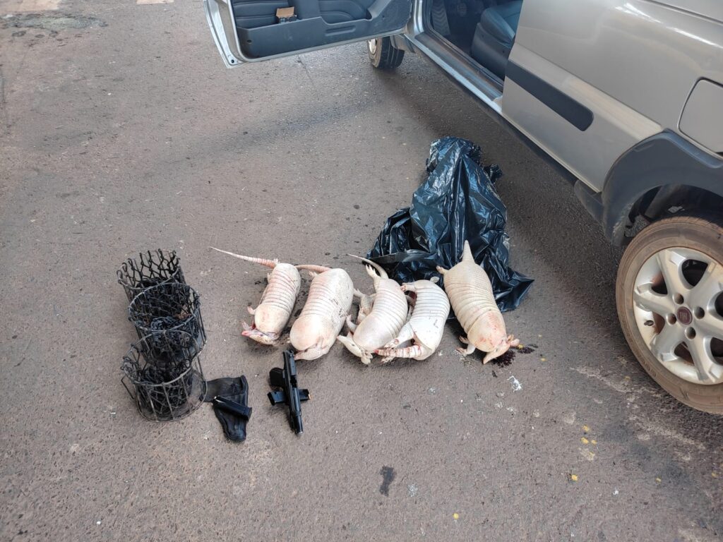 Imagem Ilustrando a Notícia: Caçador é preso em Morrinhos com cães, arma, munições e animais abatidos