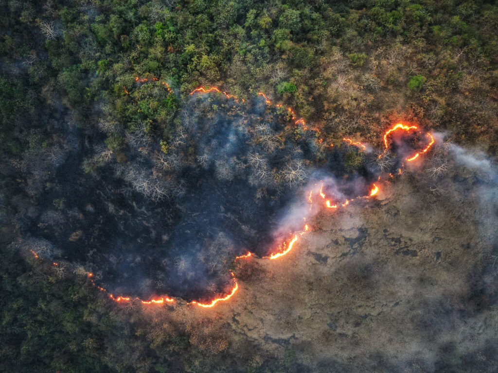 Imagem Ilustrando a Notícia: Amazonas têm 1.664 focos de fogo e Ibama manda reforço de brigadistas