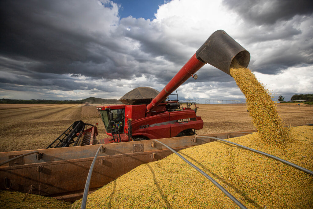 Imagem Ilustrando a Notícia: Produtores rurais enfrentam falta e a baixa qualidade de grãos de soja em Goiás