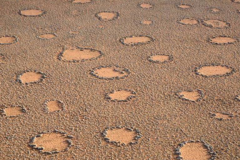 Imagem Ilustrando a Notícia: Saiba o que são os ‘círculos de fadas’, formações em zonas áridas que intrigam cientistas