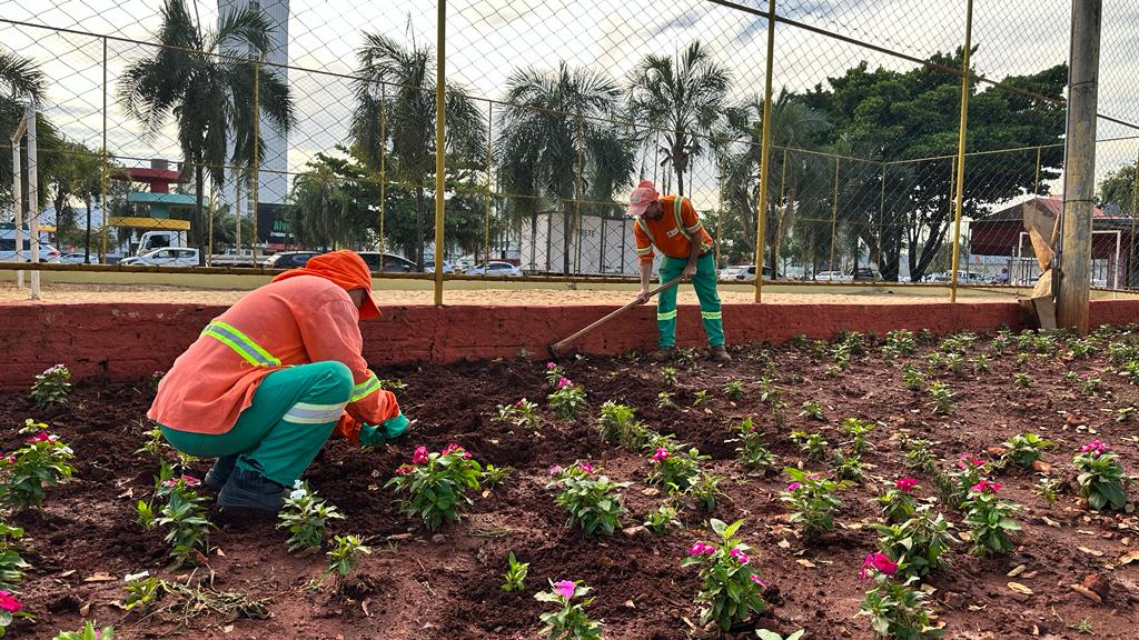 Imagem Ilustrando a Notícia: Comurg inicia plantio de 33 mil mudas ornamentais em áreas estratégicas da cidade