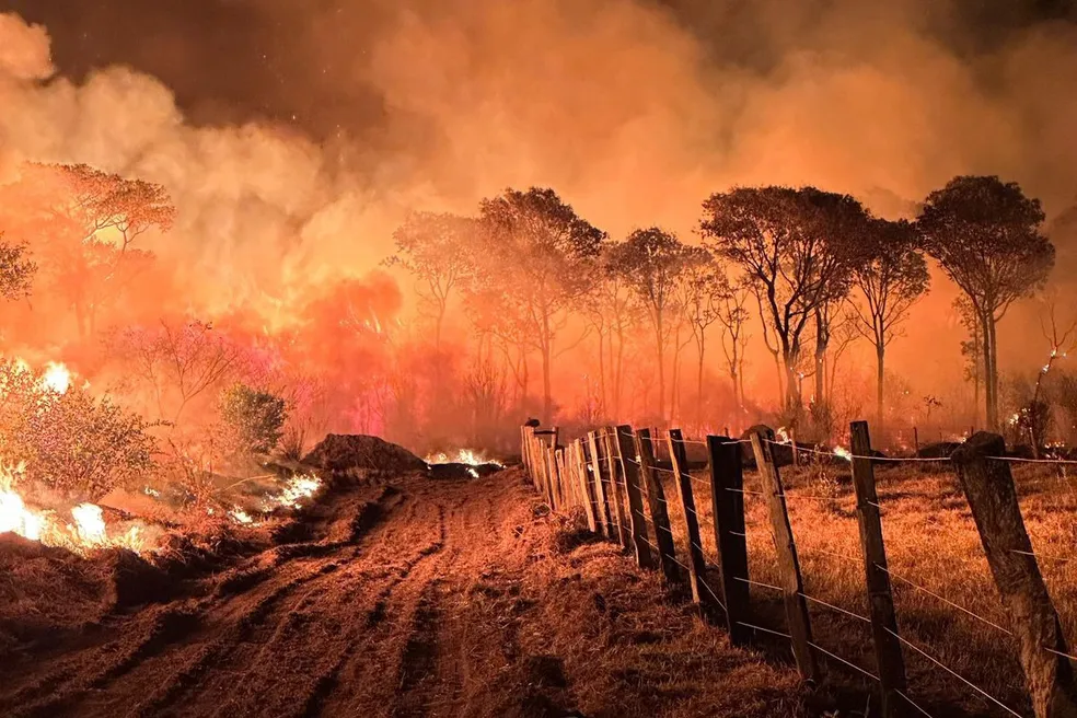 Imagem Ilustrando a Notícia: Incêndios no Pantanal atingem Transpantaneira, a principal via de acesso ao bioma em MT