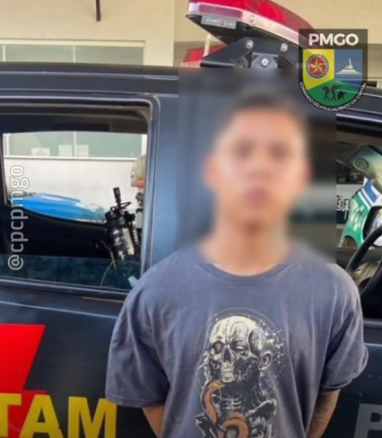 Imagem Ilustrando a Notícia: Adolescente mata homem que comparou sua mãe a um cachorro, em Goiânia