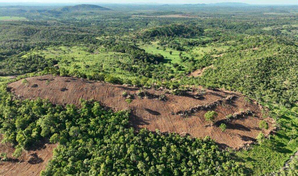 Imagem Ilustrando a Notícia: Semad autua dois flagrantes de desmatamento ilegal em menos de 24 horas