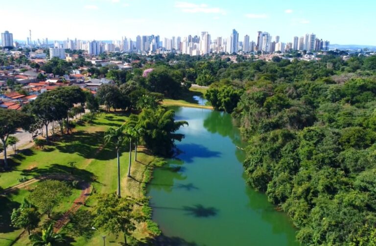 Imagem Ilustrando a Notícia: Prefeitura de Goiânia substituirá árvores com saúde comprometida próximo às feiras