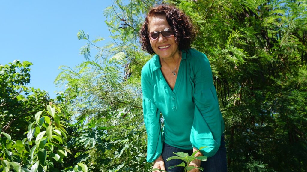 Imagem Ilustrando a Notícia: A história da mulher que plantou mais de 12 mil árvores em Goiânia