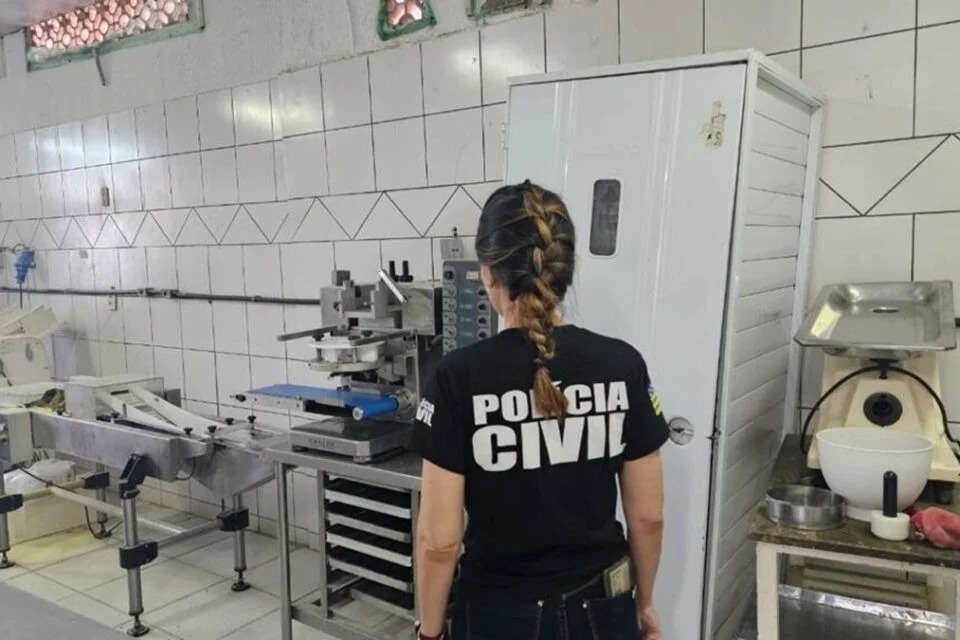 Imagem Ilustrando a Notícia: Polícia interdita fábrica de salgados em Goiânia e prende empresário por furto de energia