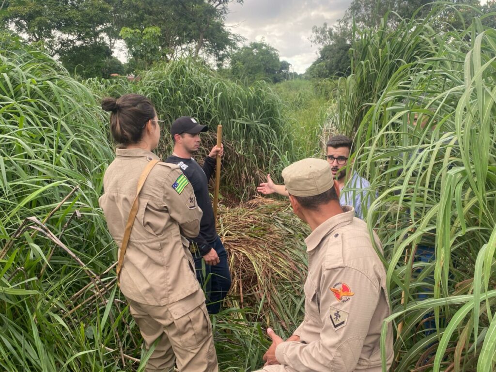 Imagem Ilustrando a Notícia: Polícia Civil encontra dois corpos em suposto cemitério clandestino em Goiânia