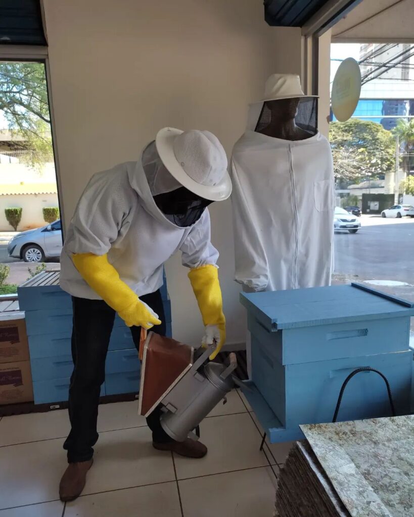 Imagem Ilustrando a Notícia: Criadores de abelhas comemoram suspensão de agrotóxico pelo Ibama
