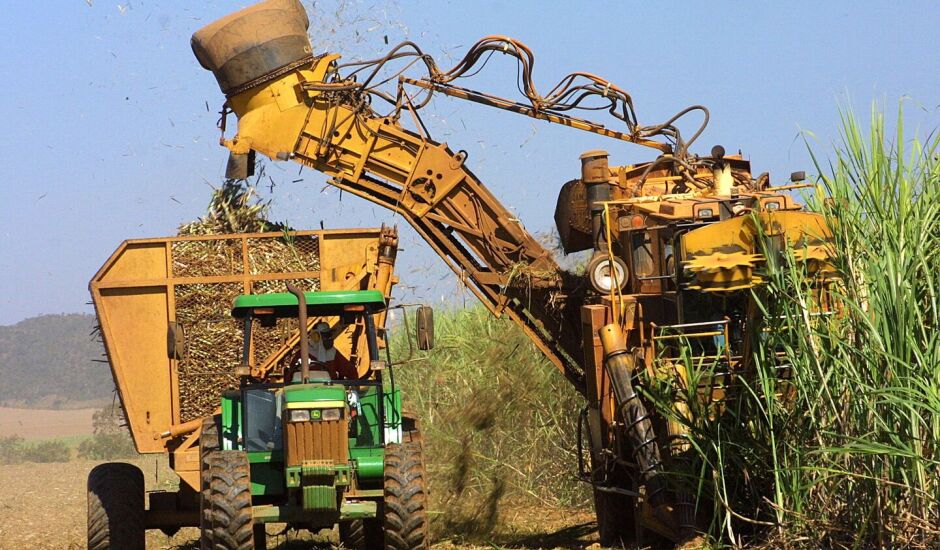 Imagem Ilustrando a Notícia: Fim da colheita de cana causou quase 5 mil demissões no agro goiano