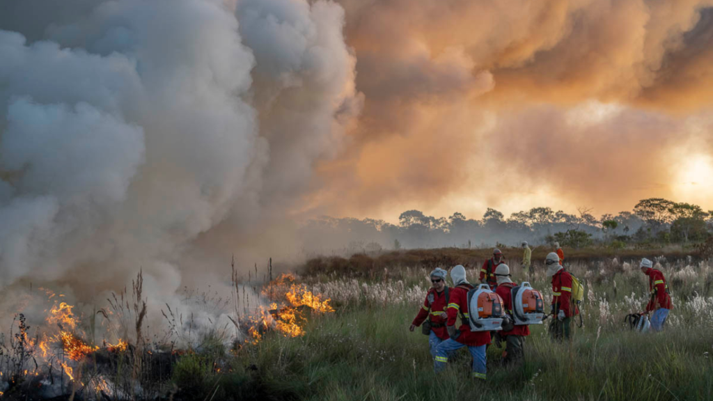 Imagem Ilustrando a Notícia: Goiás teve redução de 60% de área afetada por queimadas em três anos