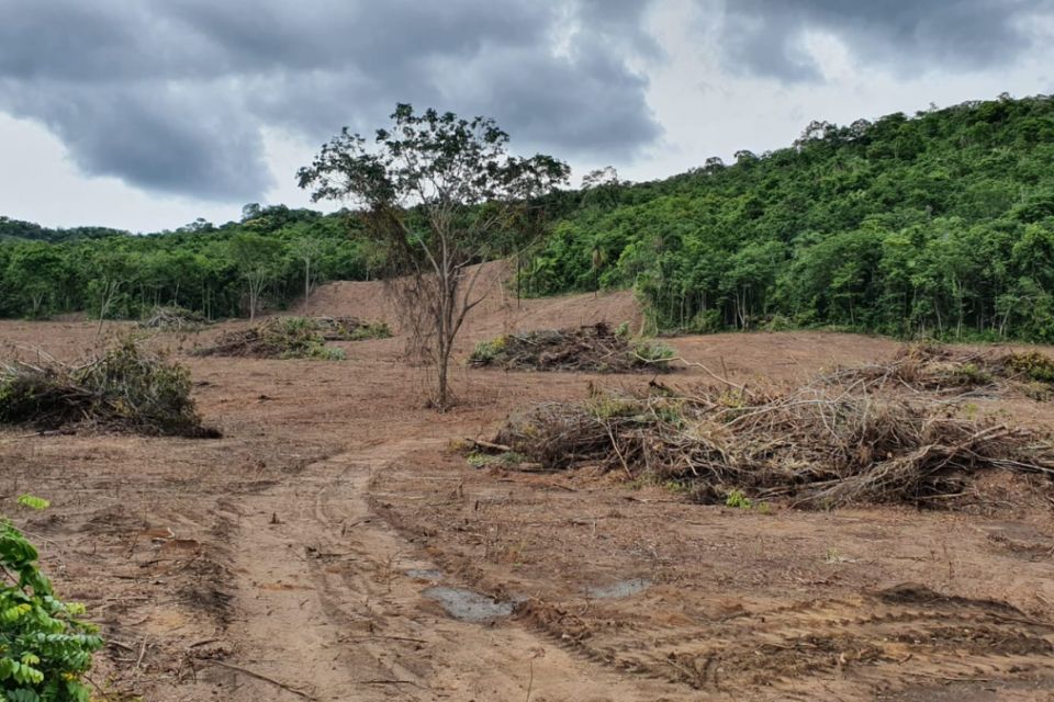 Imagem Ilustrando a Notícia: Desmatamento ilegal alcança 12,4 hectares em fazenda de Minaçu