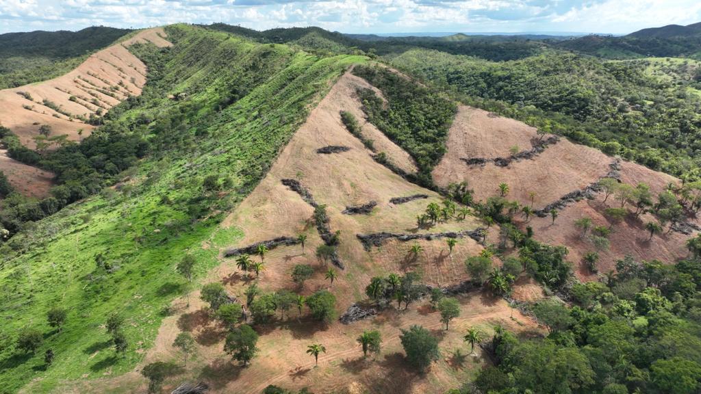Imagem Ilustrando a Notícia: Semad multa em quase R$ 220 mil, responsáveis por desmatamento ilegal, em Planaltina de Goiás