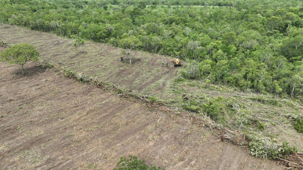 Imagem Ilustrando a Notícia: Semad multa suspeitos por desmatamento em área com quase 38 hectares, em Nova Crixás