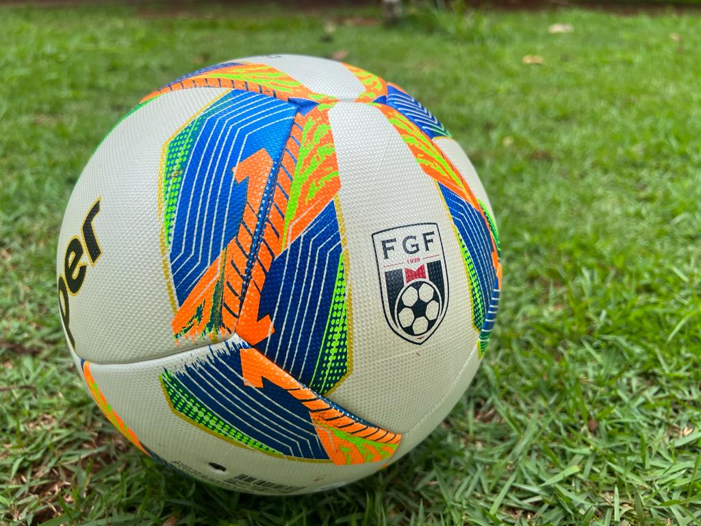 Imagem Ilustrando a Notícia: FGF divulga bola oficial do Campeonato Goiano