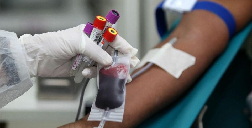 Imagem Ilustrando a Notícia: Hemofilia, a doença que causa sangramentos e desafia a ciência