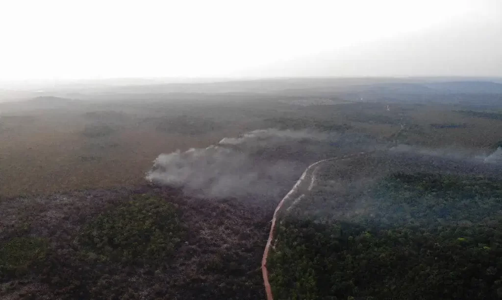 Imagem Ilustrando a Notícia: Área queimada no Brasil cresce 248% em relação a janeiro de 2023