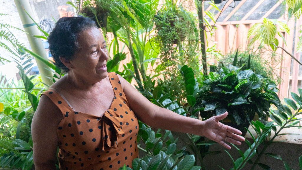 Imagem Ilustrando a Notícia: Mulher que teve dengue faz apelo para que pessoas evitem foco do mosquito no quintal