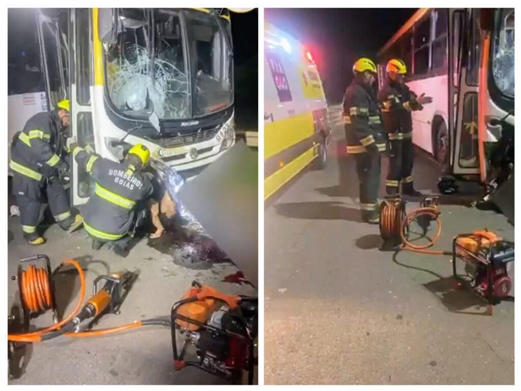 Imagem Ilustrando a Notícia: Motociclista  morre após colidir frontalmente com ônibus na BR-040