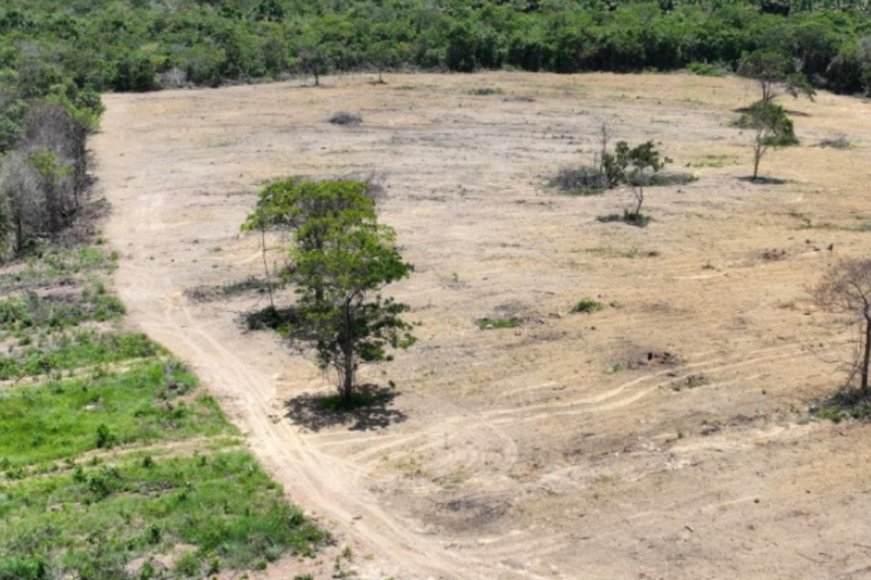 Imagem Ilustrando a Notícia: Fazenda em Pirenópolis é multada em R$ 325 mil por desmatamento e posse ilegal de madeira