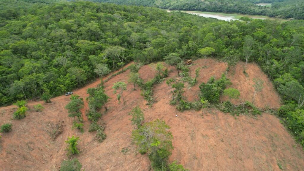 Imagem Ilustrando a Notícia: Semad flagra desmatamento em Ipameri e Caldas Novas