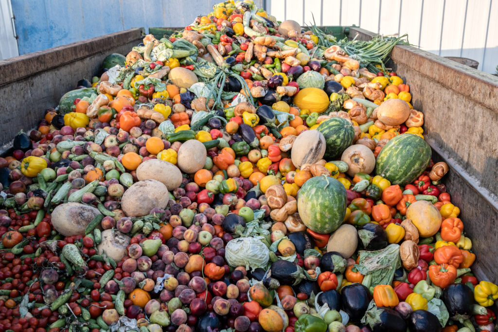 Imagem Ilustrando a Notícia: Pesquisa traz dicas sobre como reduzir desperdício de alimentos