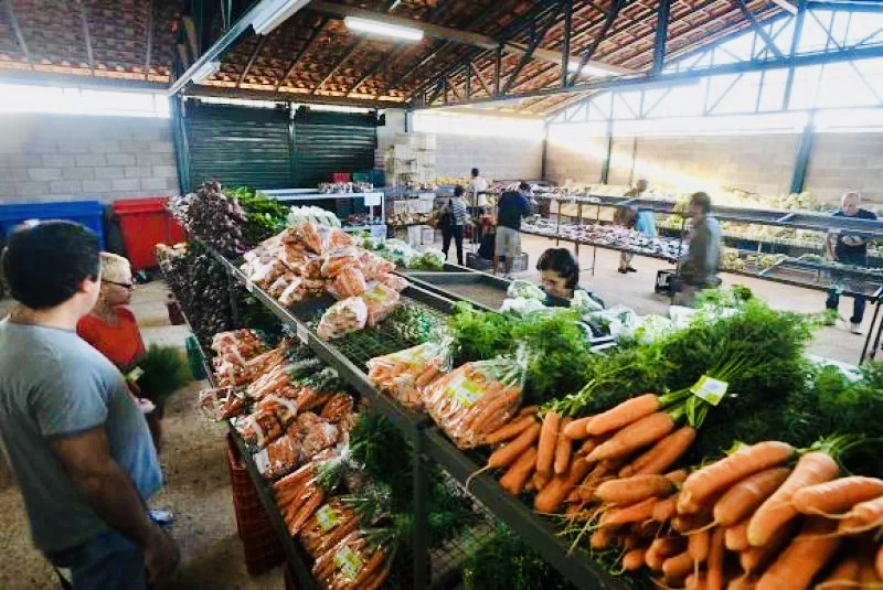 Imagem Ilustrando a Notícia: Preço da cenoura tem aumento superior a 90% no último mês