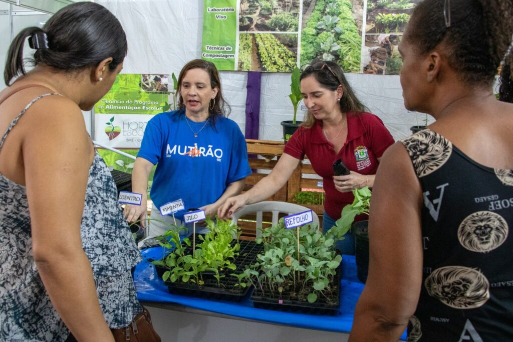 Imagem Ilustrando a Notícia: Educação entrega 3,6 mil mudas de hortaliças aos goianienses