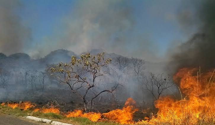 Imagem Ilustrando a Notícia: Área queimada aumentou 410% em fevereiro, aponta Monitor do Fogo