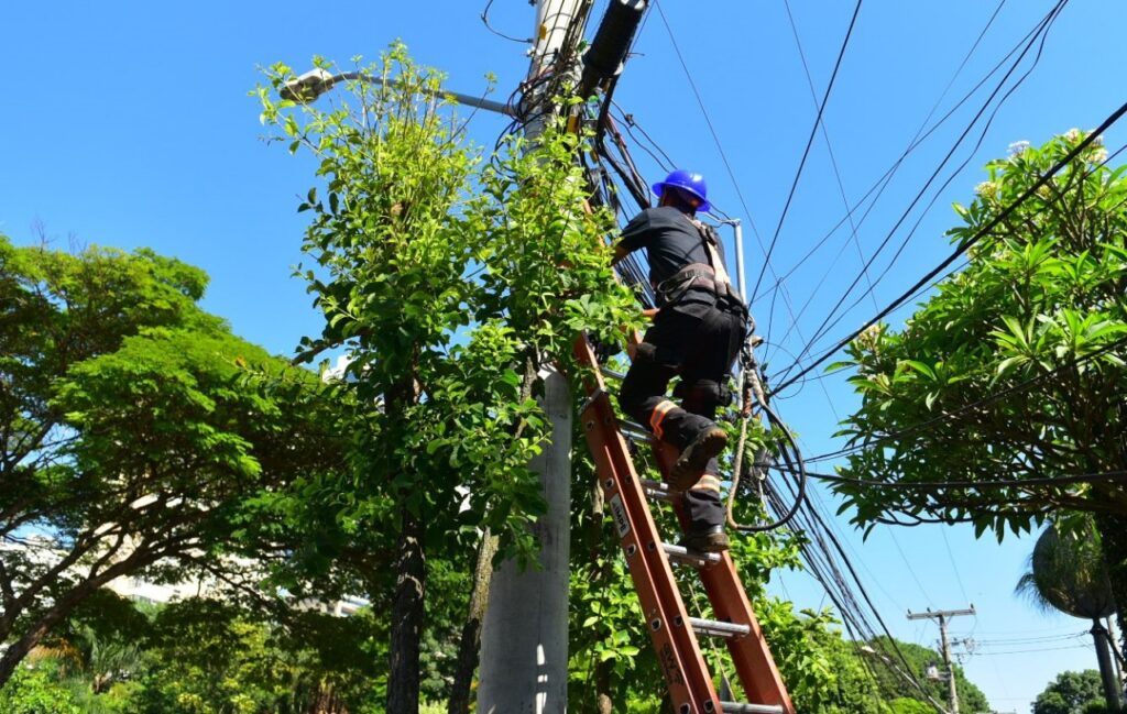 Imagem Ilustrando a Notícia: Prefeitura retira 20 toneladas de fios de postes no Setor Sul